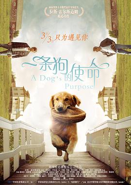 国产精品精品视频一区二区三区